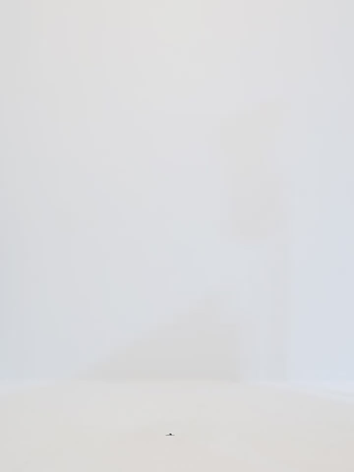 "Long Night Meteor" Limited Edition Italian Yarn Chanel Style Tweed Suit Jacket